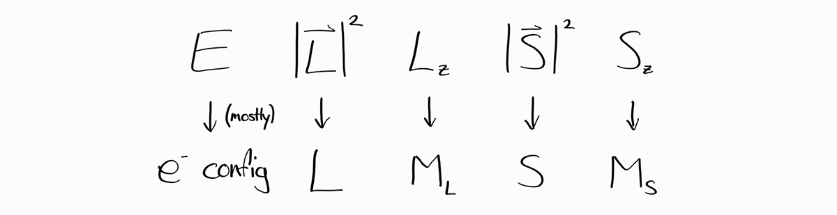 Observables and Quantum Numbers