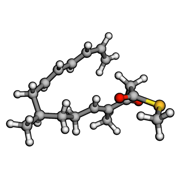 Diels Alder IRC