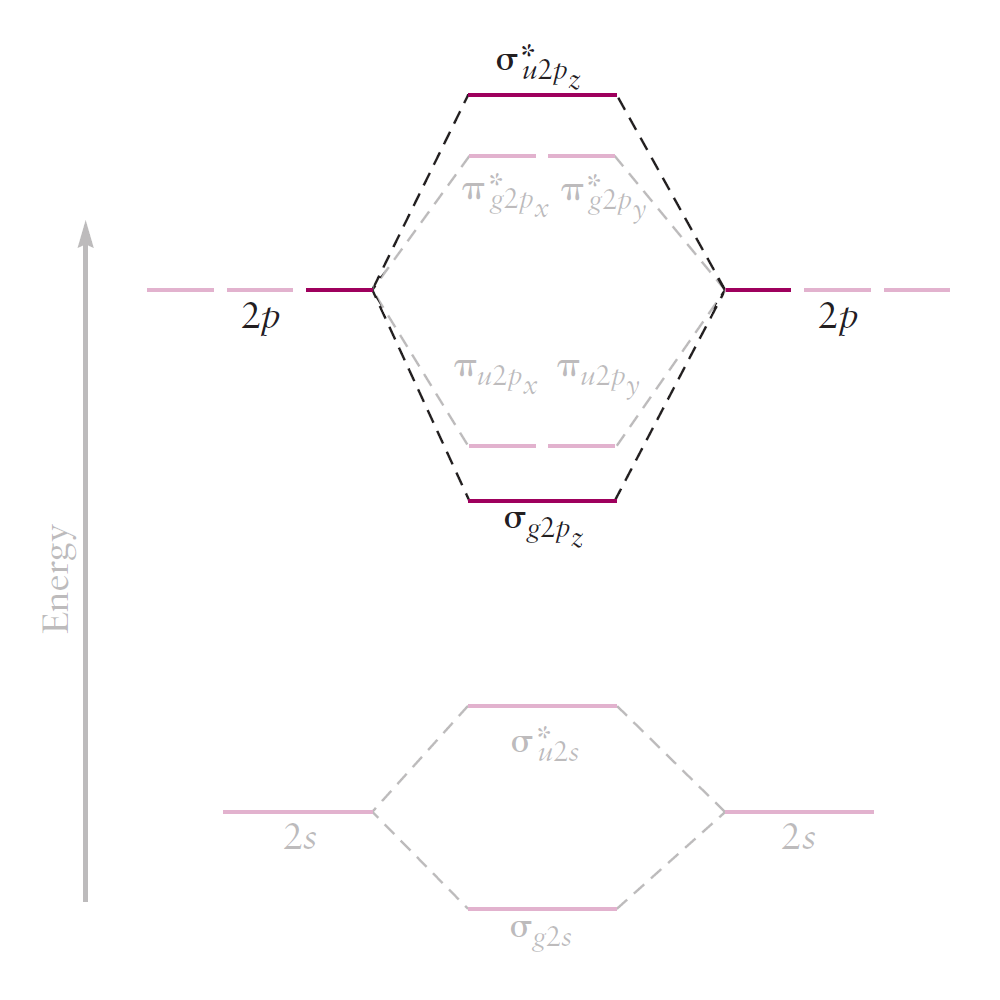 2pz correlation